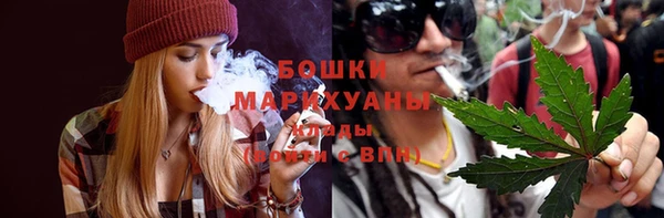 шишки Арсеньев
