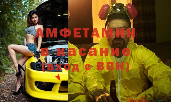 шишки Арсеньев
