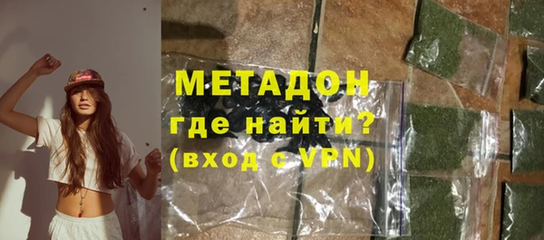 шишки Арсеньев