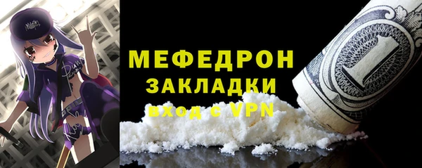 шишки Арсеньев