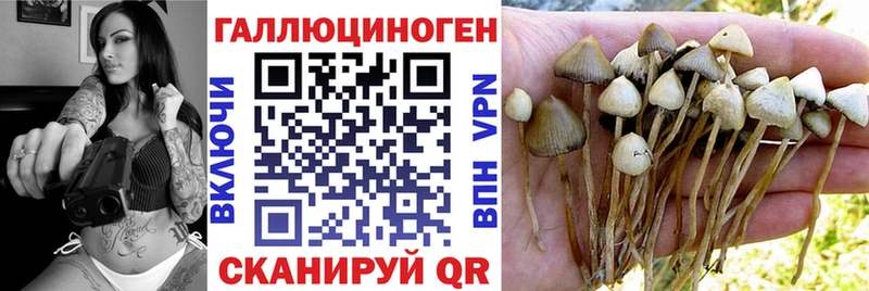 Галлюциногенные грибы Psilocybe  даркнет клад  Барыш  МЕГА сайт 